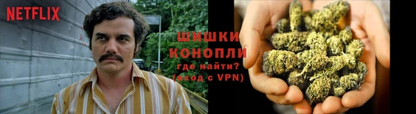 молекула духа Киренск