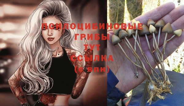 синтетический гашиш Кинешма