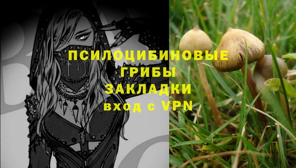 молекула духа Киренск