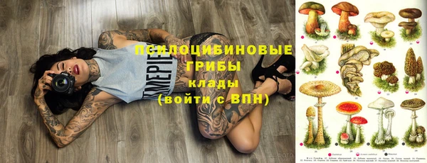 таблы Нестеровская