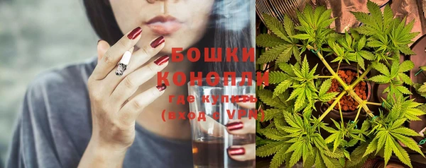 дурь Калининец